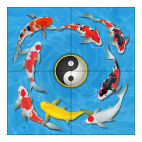 กระเบื้อง 16x16 in.<br>ปลาสบโชค